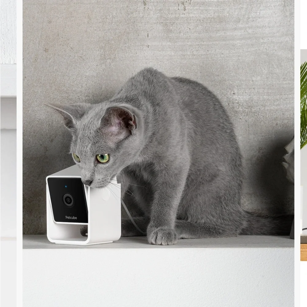 PETCUBE - Picture 5 of 5